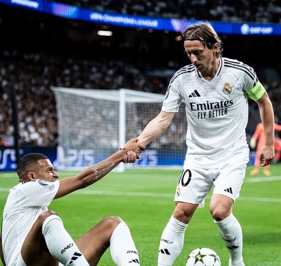 它用生态变 它用生态变